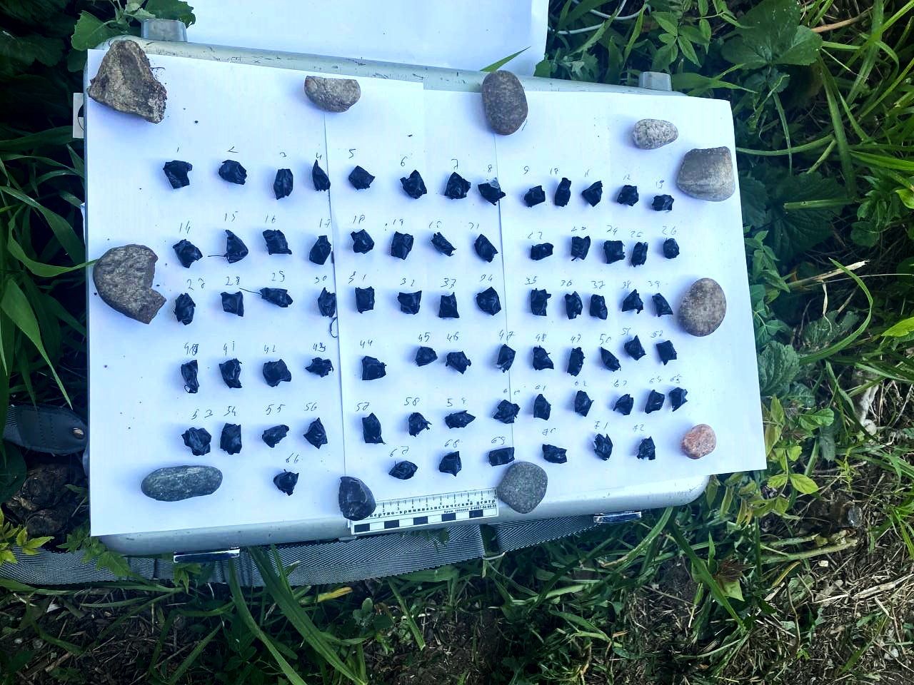 87 свёртков с наркотиками изъяли у жителя ближнего зарубежья на Ставрополье