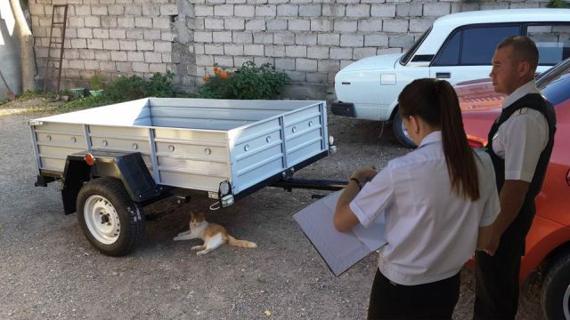 На Ставрополье бизнесмен погасил долг ради прицепа с цыплятами На Ставрополье бизнесмен погасил долг ради прицепа с цыплятами