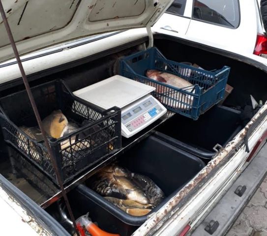 В Ессентуках посетителям поликлиники предлагали купить мясо и рыбу прямо из багажника В Ессентуках посетителям поликлиники предлагали купить мясо и рыбу прямо из багажника