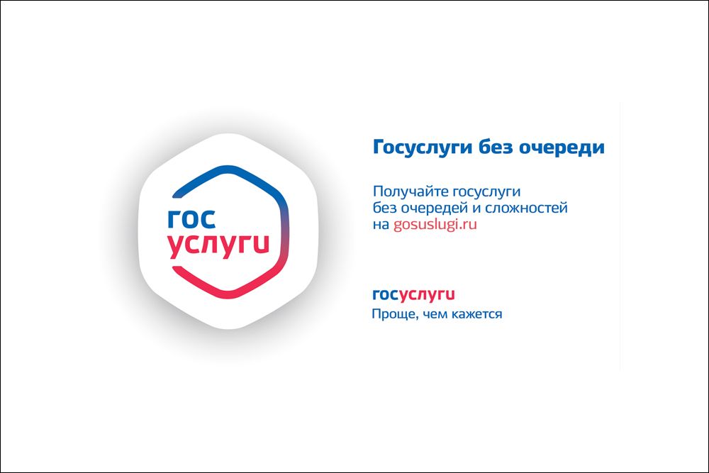Результаты ЕГЭ теперь можно узнать в личном кабинете на Госуслугах