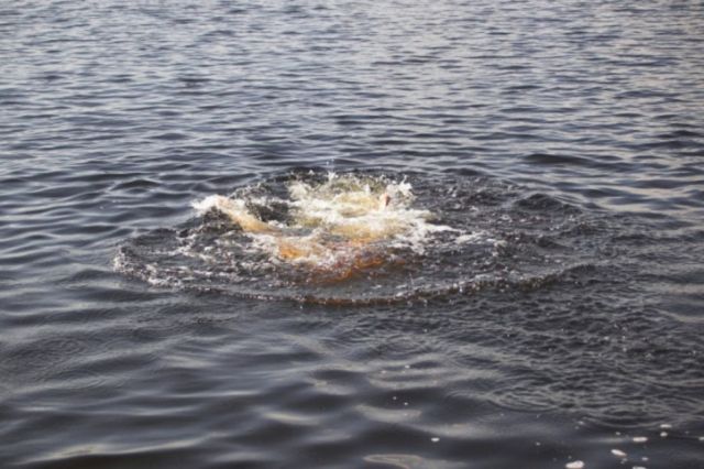 В водоёме Ставропольского края утонул двухлетний мальчик В водоёме Ставропольского края утонул двухлетний мальчик