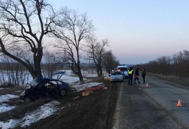 На Ставрополье легковушка врезалась в дерево, погибли двое На Ставрополье легковушка врезалась в дерево, погибли двое
