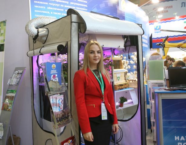 Ставропольские учёные придумали, как выращивать картофель в 4 раза дешевле зарубежных аналогов Ставропольские учёные придумали, как выращивать картофель в 4 раза дешевле зарубежных аналогов