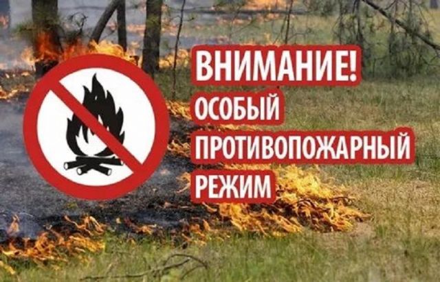 Особый противопожарный режим ввели в Невинномысске Особый противопожарный режим ввели в Невинномысске