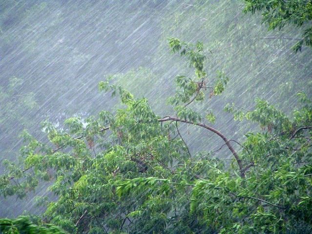 На Ставрополье 8 августа прогнозируются сильный дождь, гроза, град На Ставрополье 8 августа прогнозируются сильный дождь, гроза, град