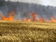 В крае прогнозируются пожары В крае прогнозируются пожары