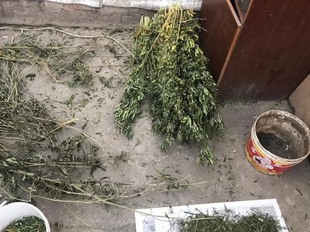 Жительница Ставрополья незаконно хранила наркотики и боеприпасы Жительница Ставрополья незаконно хранила наркотики и боеприпасы