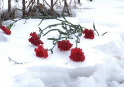 Двое школьников попали под машину, катаясь на ледяной горке Двое школьников попали под машину, катаясь на ледяной горке