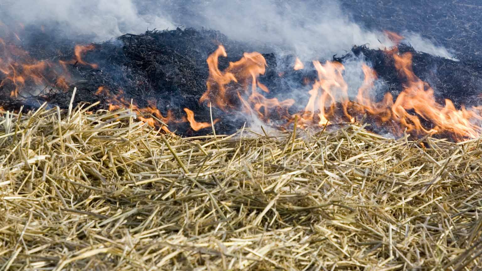 В некоторых районах Ставрополья 26 — 28 июня прогнозируется чрезвычайная пожароопасность В некоторых районах Ставрополья 26 — 28 июня прогнозируется чрезвычайная пожароопасность