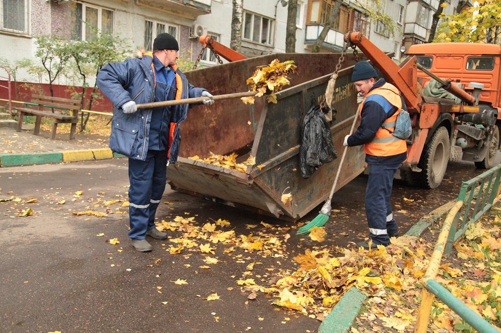 В минЖКХ Ставрополья разъяснили порядок вывоза листвы с придомовых территорий
