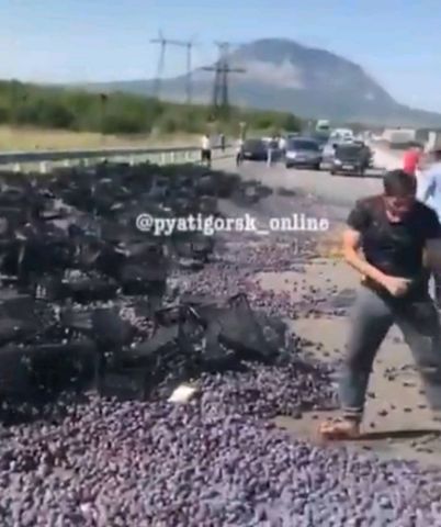 На ставропольской дороге перевернулся грузовик со сливами На ставропольской дороге перевернулся грузовик со сливами