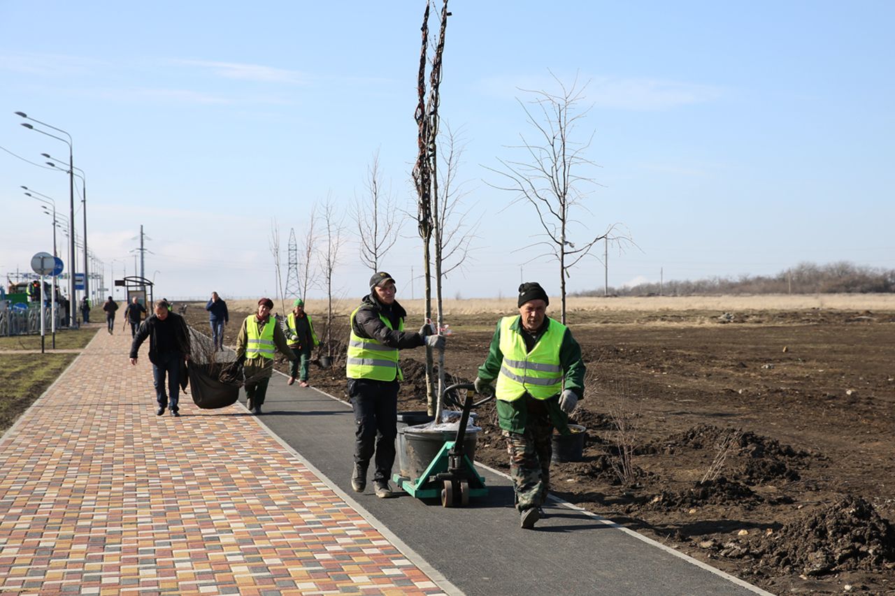 В 2019 году в Ставрополе высадили более 10 тысяч деревьев В 2019 году в Ставрополе высадили более 10 тысяч деревьев