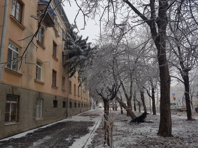 В Ессентуках дерево упало на жилой дом В Ессентуках дерево упало на жилой дом