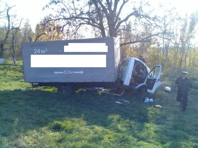 На Ставрополье водитель «ГАЗели» уснул за рулём и врезался в дерево На Ставрополье водитель «ГАЗели» уснул за рулём и врезался в дерево