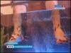 Больных на Ставрополье лечат рыбки-людоедки Больных на Ставрополье лечат рыбки-людоедки