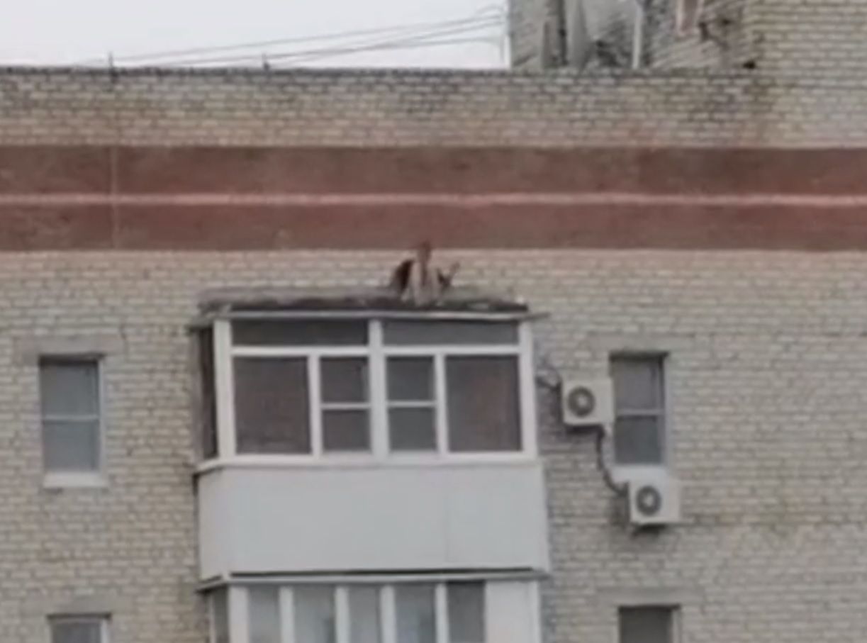 В Ставрополе спасатели сняли мужчину с козырька балкона 9 этажа