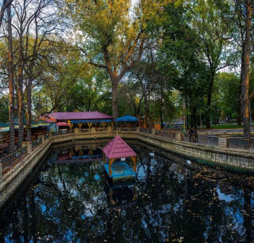В Центральном парке Ставрополя нашли нарушения В Центральном парке Ставрополя нашли нарушения