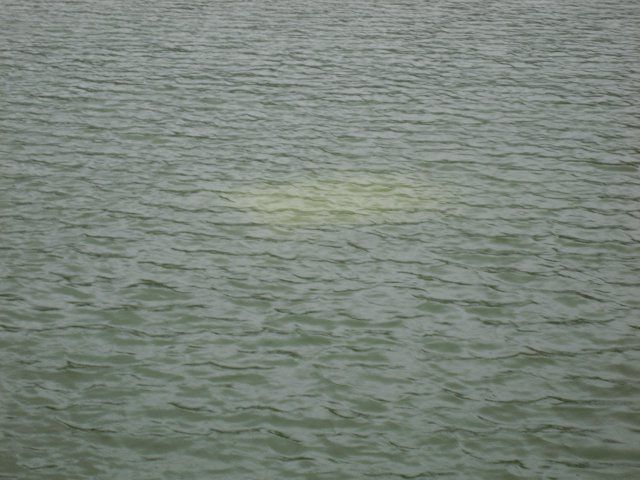 Обнаружено тело второго подростка, утонувшего в канале под Невинномысском Обнаружено тело второго подростка, утонувшего в канале под Невинномысском