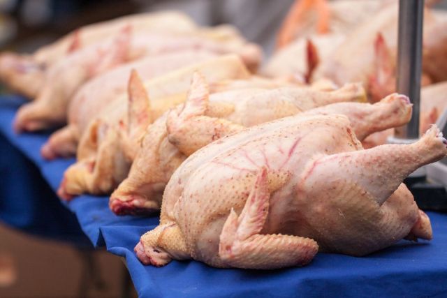 На Ставрополье производство мяса индейки увеличится в 4 раза На Ставрополье производство мяса индейки увеличится в 4 раза