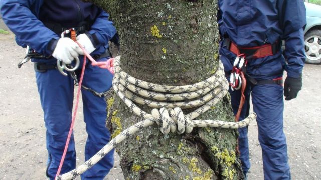 Ставропольские спасатели извлекли из трёхметрового оврага тело мужчины Ставропольские спасатели извлекли из трёхметрового оврага тело мужчины
