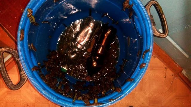 Двое ставропольцев подозреваются в краже 40 тысяч пиявок стоимостью более миллиона рублей Двое ставропольцев подозреваются в краже 40 тысяч пиявок стоимостью более миллиона рублей