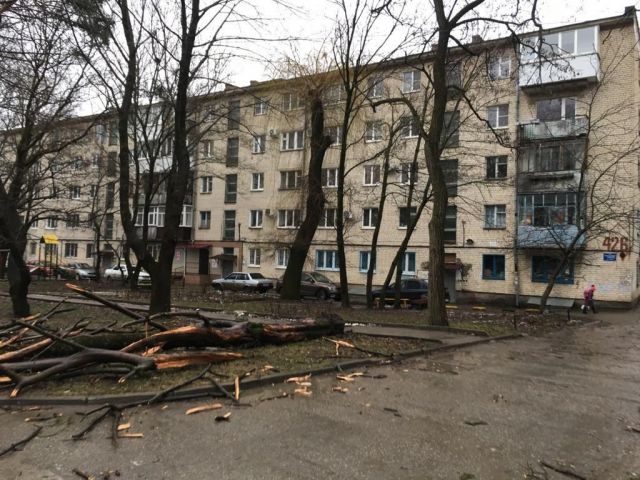 В связи с ураганным ветром в Ставрополе введён режим ЧС В связи с ураганным ветром в Ставрополе введён режим ЧС