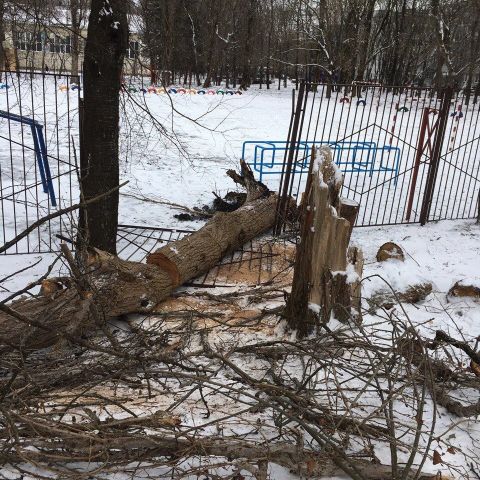 Штормовой ветер усилится и сохранится в Ставропольском крае в течение двух суток Штормовой ветер усилится и сохранится в Ставропольском крае в течение двух суток