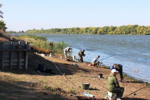 На Ставрополье обсудили проблемы аквакультуры Юга России На Ставрополье обсудили проблемы аквакультуры Юга России