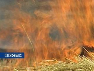 Десятый пожар произошел на полях Ставрополья Десятый пожар произошел на полях Ставрополья