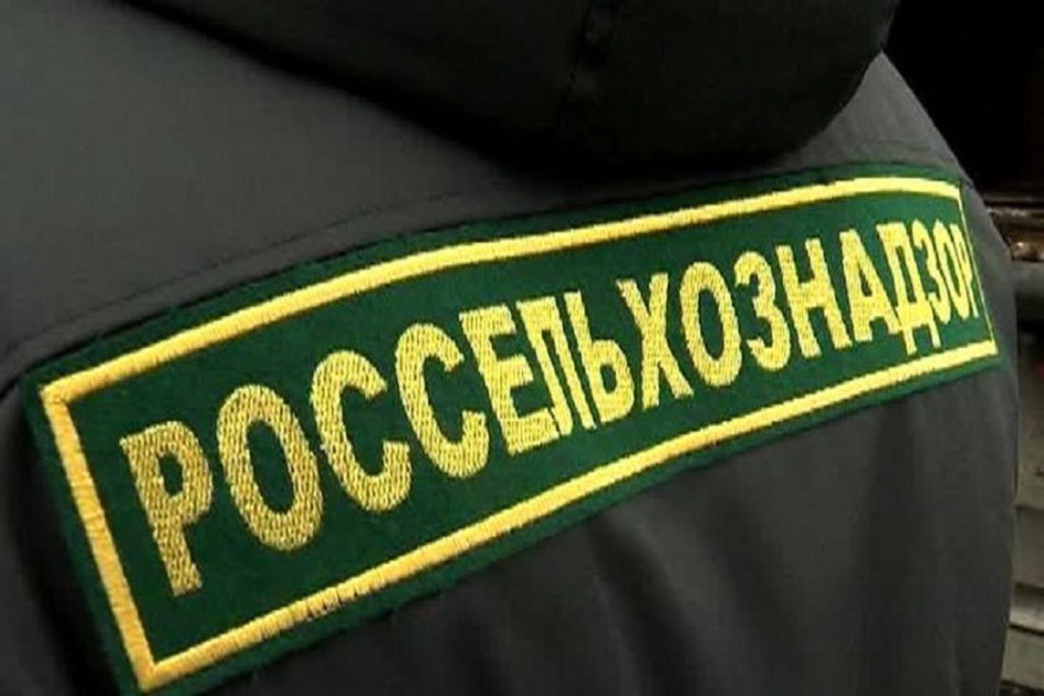 В Ставропольском крае назначено на 8 миллионов штрафов за нарушения техрегламентов сфере ветеринарии