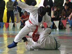 В Ставрополе завершился чемпионат СКФО по рукопашному бою В Ставрополе завершился чемпионат СКФО по рукопашному бою
