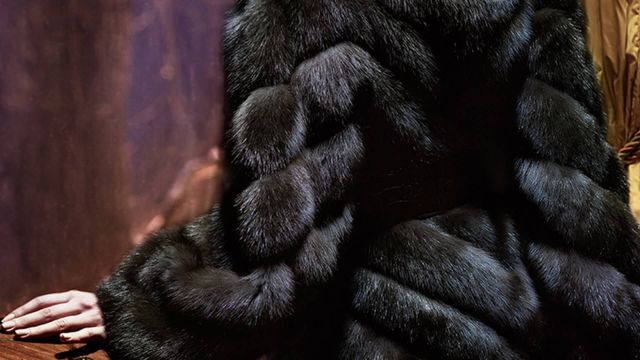 Ставрополец украл шубу, чтобы порадовать жену Ставрополец украл шубу, чтобы порадовать жену