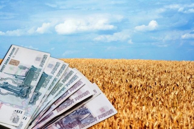 Ставропольским аграриям дополнительно выделили более одного миллиарда рублей Ставропольским аграриям дополнительно выделили более одного миллиарда рублей