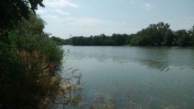 Со дна городского озера в Невинномысске достали тело мужчины Со дна городского озера в Невинномысске достали тело мужчины