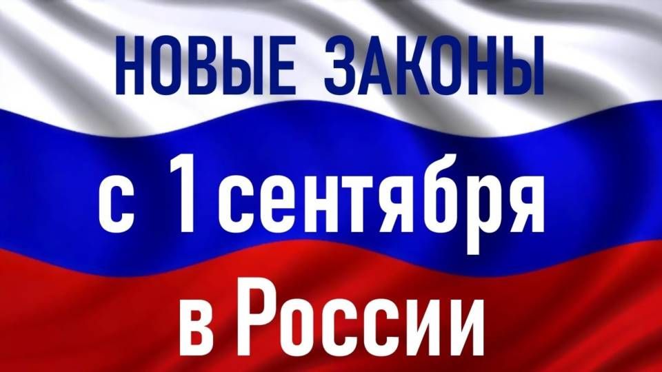 С 1 сентября в России в силу вступят «гаражная амнистия» и закон о больничных на детей С 1 сентября в России в силу вступят «гаражная амнистия» и закон о больничных на детей