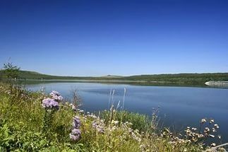 Ставрополье отмечает Всемирный день водных ресурсов Ставрополье отмечает Всемирный день водных ресурсов