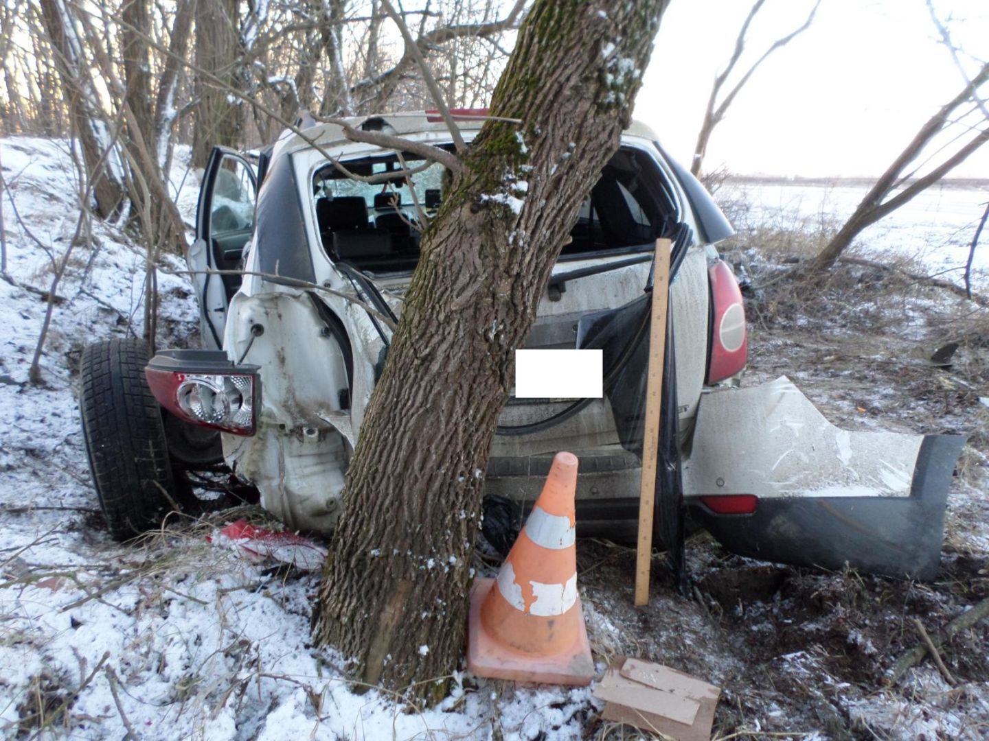 На Ставрополье легковушка врезалась в дерево, пострадали два человека На Ставрополье легковушка врезалась в дерево, пострадали два человека