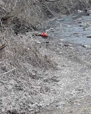 В Ставрополе прохожие обнаружили на берегу реки труп мужчины В Ставрополе прохожие обнаружили на берегу реки труп мужчины