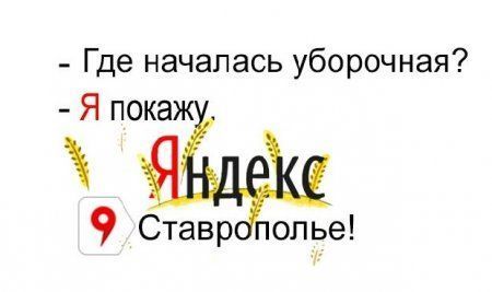 Яндекс опроверг информацию краевых СМИ о сюрпризе для ставропольцев Яндекс опроверг информацию краевых СМИ о сюрпризе для ставропольцев