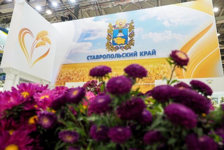 Официальная делегация Японии планирует посетить Ставрополье Официальная делегация Японии планирует посетить Ставрополье