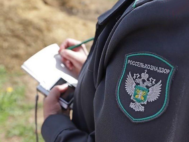 За нарушения при реконструкции дороги в Новоалександровском округе оштрафована фирма