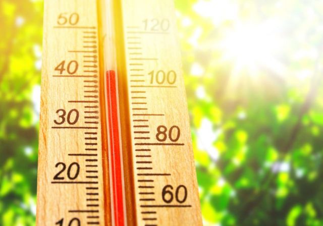 На Ставрополье воздух снова прогреется до +40 градусов На Ставрополье воздух снова прогреется до +40 градусов