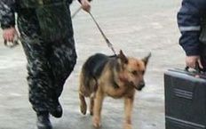 Бомбу в автобусе "Ставрополь-Москва" не обнаружили Бомбу в автобусе "Ставрополь-Москва" не обнаружили