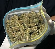 В Минераловодском районе задержана машина с наркотиками В Минераловодском районе задержана машина с наркотиками