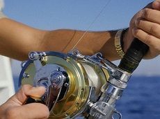 На Ставрополье завершились открытые чемпионаты края по рыболовному спорту На Ставрополье завершились открытые чемпионаты края по рыболовному спорту