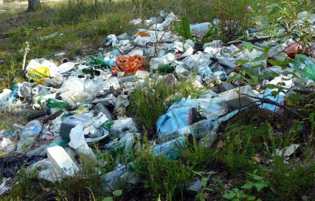 Должностных лиц привлекут к ответственности за несанкционированные свалки в Ставрополе Должностных лиц привлекут к ответственности за несанкционированные свалки в Ставрополе