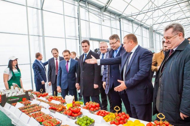 На Ставрополье выросло число прибыльных предприятий На Ставрополье выросло число прибыльных предприятий