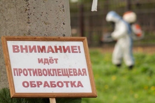 В Ставрополе проведут обработку общественных мест от клещей В Ставрополе проведут обработку общественных мест от клещей
