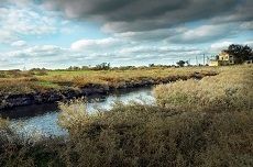 Новая фотовыставка открылась в краевом центре Новая фотовыставка открылась в краевом центре