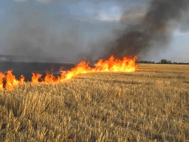 На Ставрополье перекрыли участок трассы из-за сильного задымления в результате пожара На Ставрополье перекрыли участок трассы из-за сильного задымления в результате пожара
